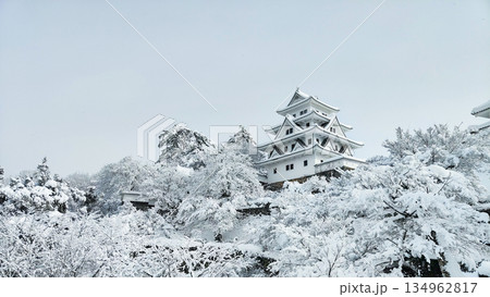 雪の郡上八幡城 雪の郡上八幡城 134962817