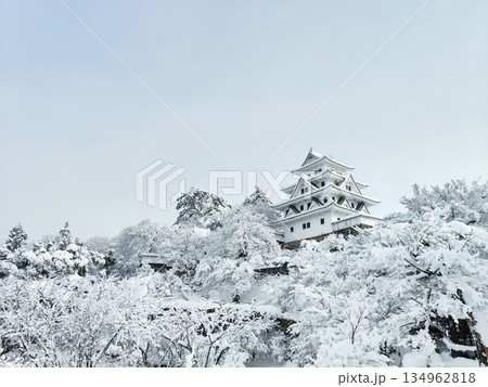 雪の郡上八幡城 雪の郡上八幡城 134962818