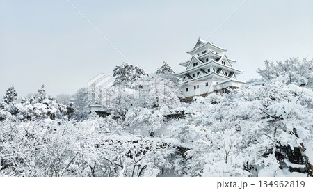 雪の郡上八幡城 雪の郡上八幡城 134962819