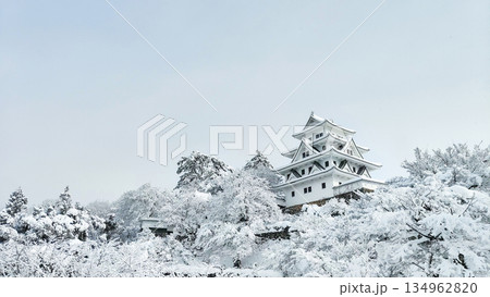 雪の郡上八幡城 雪の郡上八幡城 134962820