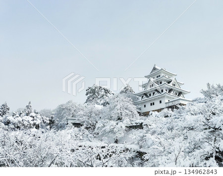 雪の郡上八幡城 雪の郡上八幡城 134962843
