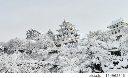 雪の郡上八幡城 雪の郡上八幡城 134962846