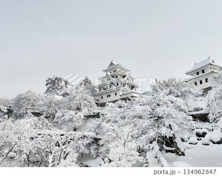 雪の郡上八幡城 雪の郡上八幡城 134962847