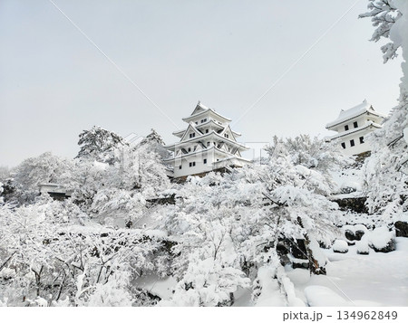 雪の郡上八幡城 雪の郡上八幡城 134962849