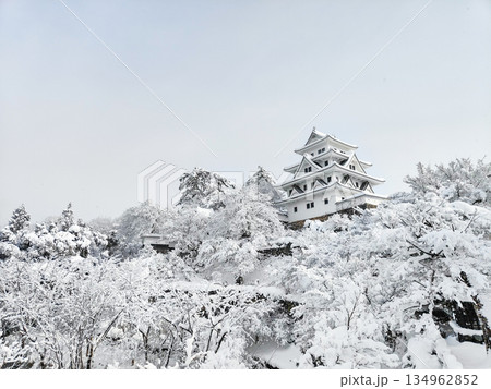 雪の郡上八幡城 雪の郡上八幡城 134962852