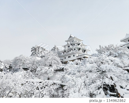 雪の郡上八幡城 雪の郡上八幡城 134962862