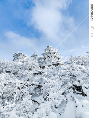 雪の郡上八幡城 雪の郡上八幡城 134962866