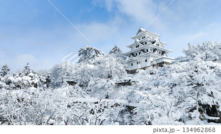 雪の郡上八幡城 134962868