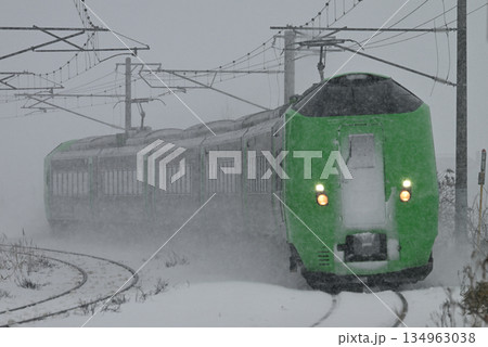 吹雪の中を走る特急ライラック号 134963038
