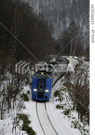 稚内駅を目指して走る特急宗谷号 134963039