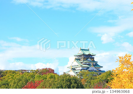 大阪府大阪市、大阪城の風景 134963068