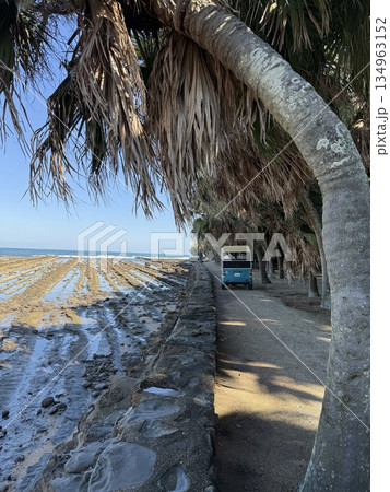 可愛い車に乗って青島観光 134963152