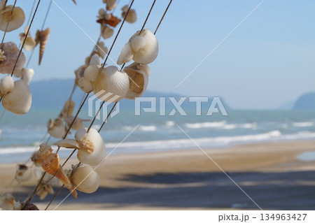 Seashells against the background of blue sky and sea.Strings of white seashells hang in clusters against a backdrop of turquoise sea, blue sky and golden sand. Seashells against the background of blue sky and sea.Strings of white seashells hang in clusters against a backdrop of turquoise sea, blue sky and golden sand. 134963427