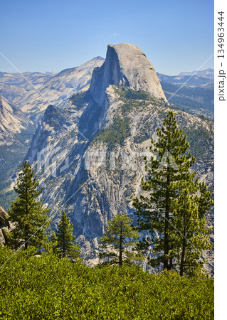 Half Dome Granite Formation and Pine Trees from Glacier Point in Yosemite National Park Half Dome Granite Formation and Pine Trees from Glacier Point in Yosemite National Park 134963444