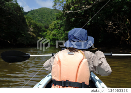 マングローブ林のカヤックツアー 134963538