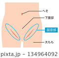 腹部　下腹部　鼠径部 134964092