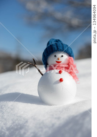 新雪と雪だるま 新雪と雪だるま 134964094