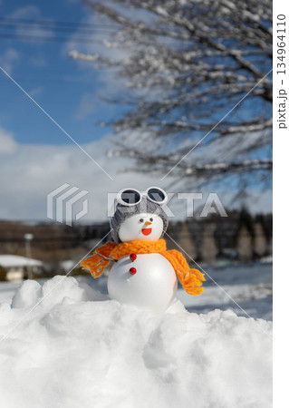 新雪と雪だるま 新雪と雪だるま 134964110
