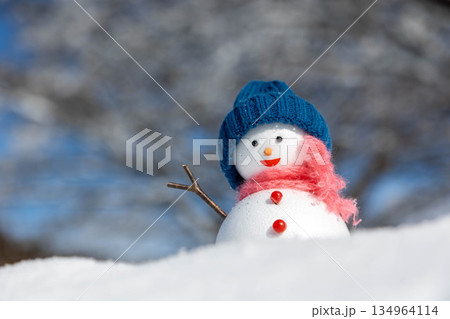 新雪と雪だるま 新雪と雪だるま 134964114