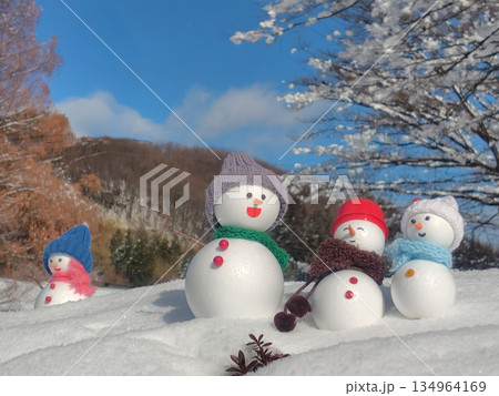 新雪とたくさんの雪だるま 新雪とたくさんの雪だるま 134964169