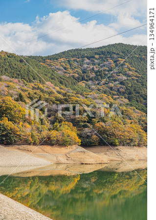 新城市の大原調整池の風景(愛知県) 134964171