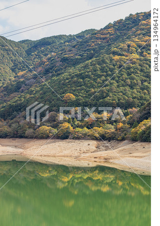 新城市の大原調整池の風景(愛知県) 134964172