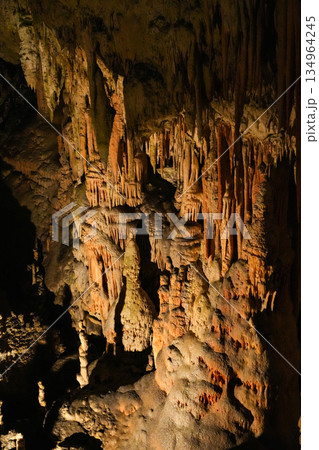 スロベニア_ポストイナ鍾乳洞 134964245