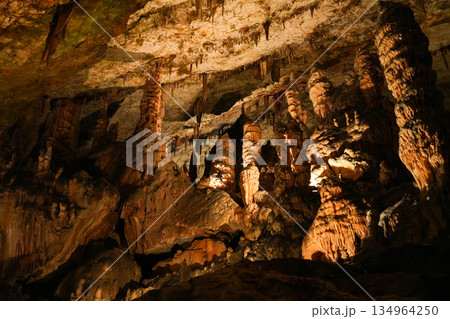 スロベニア_ポストイナ鍾乳洞 134964250