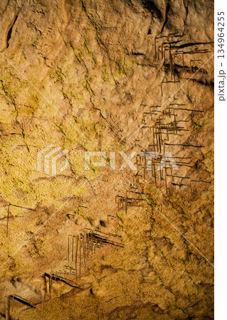 スロベニア_ポストイナ鍾乳洞 スロベニア_ポストイナ鍾乳洞 134964255