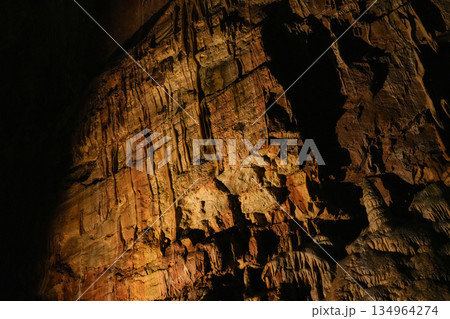 スロベニア_ポストイナ鍾乳洞 134964274