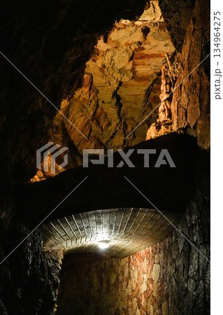 スロベニア_ポストイナ鍾乳洞 134964275