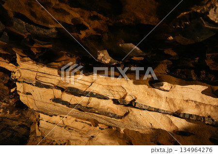 スロベニア_ポストイナ鍾乳洞 134964276