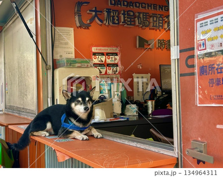 大稲埕碼頭貨櫃市集 大稲埕碼頭貨櫃市集 134964311