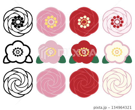 椿の花のイラスト-1,2,3-セット 椿の花のイラスト-1,2,3-セット 134964321