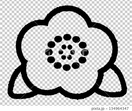 山茶花插圖-1-單色 山茶花插圖-1-單色 134964347