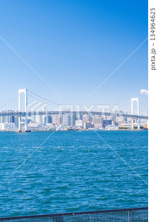 TOKYO, JAPAN - 29, JAN. 2025 : cityscape of Tokyo skyline with Tokyo tower and rainbow bridge at daytime in Japan 134964625