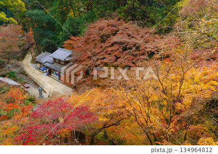 秋の兵庫県姫路市の書写山円教寺の紅葉 134964812
