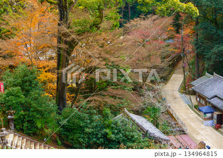 秋の兵庫県姫路市の書写山円教寺の紅葉 134964815