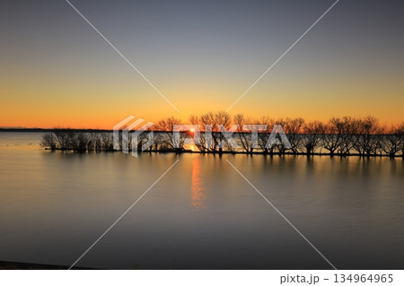 かすみがうら市歩崎からの日の出 かすみがうら市歩崎からの日の出 134964965