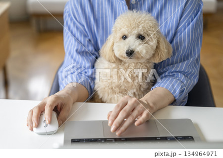 犬を抱いてパソコンで作業をするミドル女性の手元　在宅勤務イメージ 134964971
