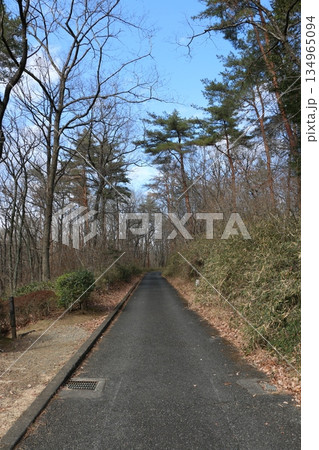 森林公園 森林公園 134965094