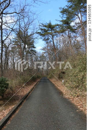 森林公園 森林公園 134965095