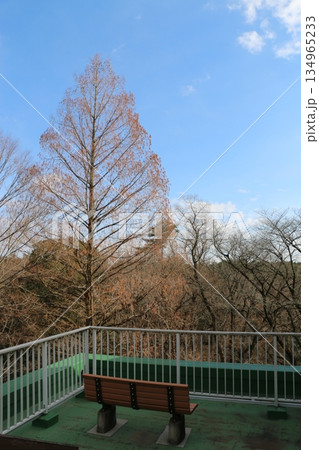 森林公園 134965233