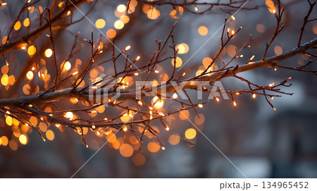 冬の木に飾られたイルミネーション 134965452