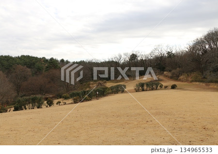 森林公園 134965533