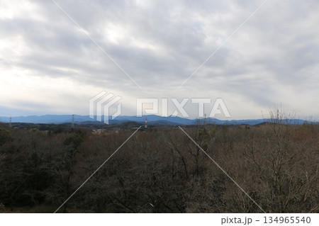 森林公園 134965540