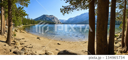Panoramic Tenaya Lake Shoreline with Pine Trees and Sierra Nevada Mountains Yosemite Panoramic Tenaya Lake Shoreline with Pine Trees and Sierra Nevada Mountains Yosemite 134965734
