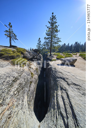 Taft Point Fissure Granite Cliffs and Pine Trees Under Bright Blue Sky Yosemite 134965777