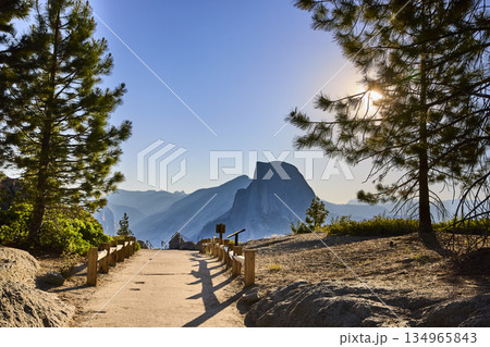 Half Dome and Sunburst Through Pine Trees at Glacier Point Yosemite National Park Half Dome and Sunburst Through Pine Trees at Glacier Point Yosemite National Park 134965843