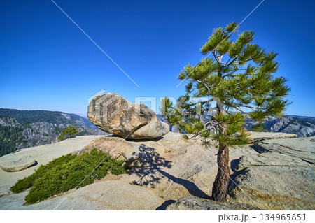 Taft Point Boulder and Pine Tree with Granite Cliffs under Clear Blue Sky Taft Point Boulder and Pine Tree with Granite Cliffs under Clear Blue Sky 134965851